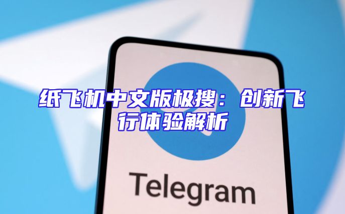 纸飞机中文版极搜：创新飞行体验解析