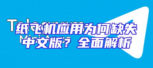 纸飞机应用为何缺失中文版？全面解析
