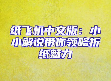 纸飞机中文版：小小解说带你领略折纸魅力