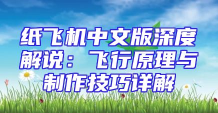 纸飞机中文版深度解说：飞行原理与制作技巧详解