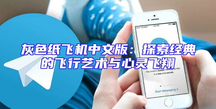 灰色纸飞机中文版：探索经典的飞行艺术与心灵飞翔