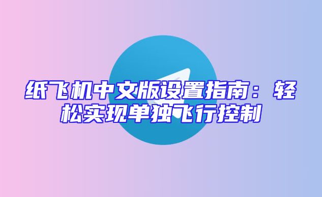纸飞机中文版设置指南：轻松实现单独飞行控制