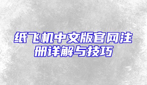 纸飞机中文版官网注册详解与技巧