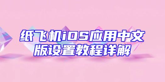 纸飞机iOS应用中文版设置教程详解