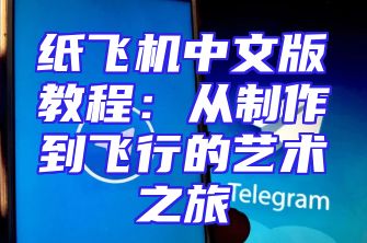 纸飞机中文版教程：从制作到飞行的艺术之旅