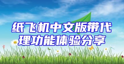 纸飞机中文版带代理功能体验分享