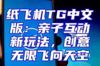 纸飞机TG中文版：亲子互动新玩法，创意无限飞向天空